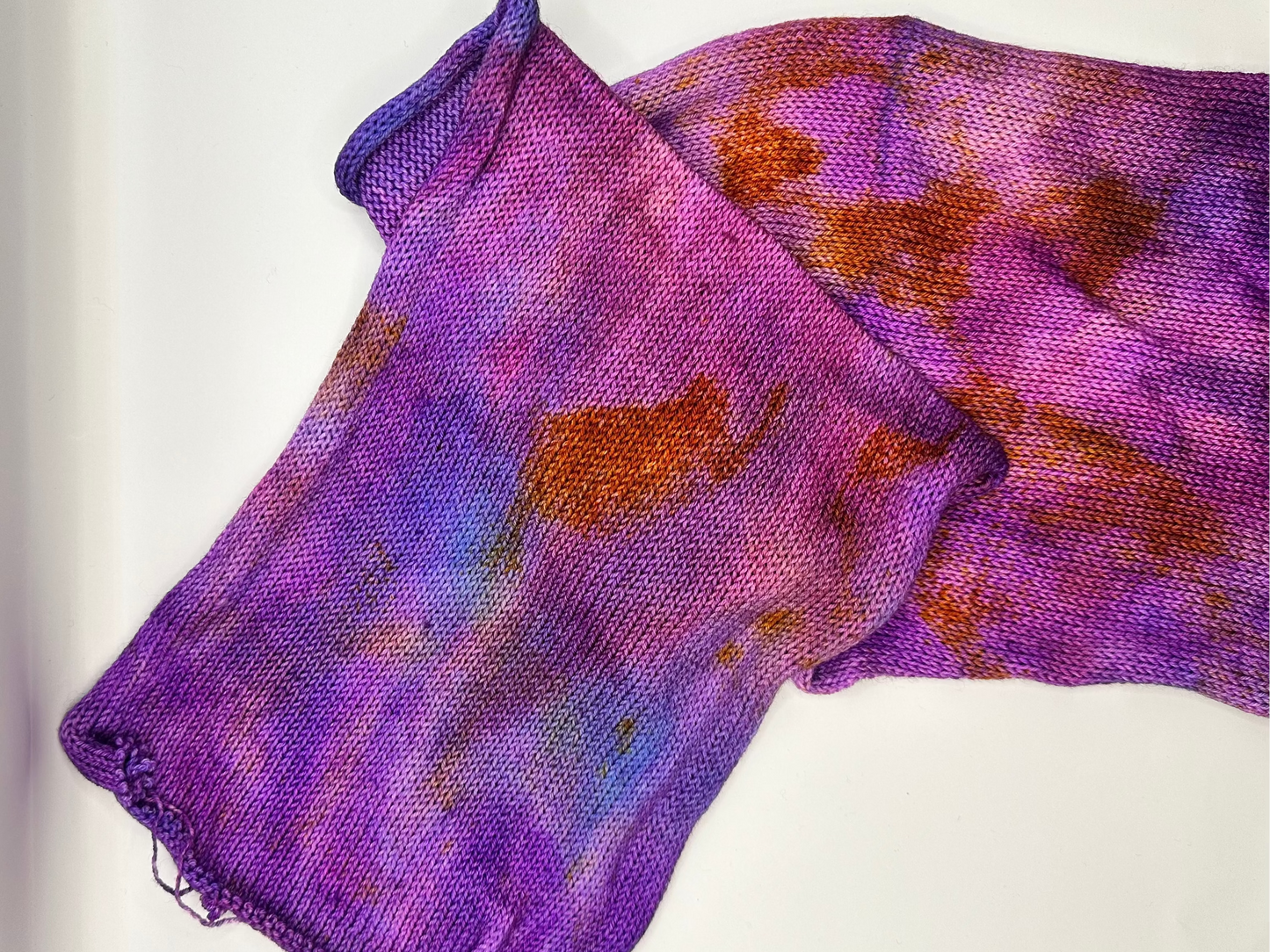 Sock Blank - Festival of the Dancing Sturgeons