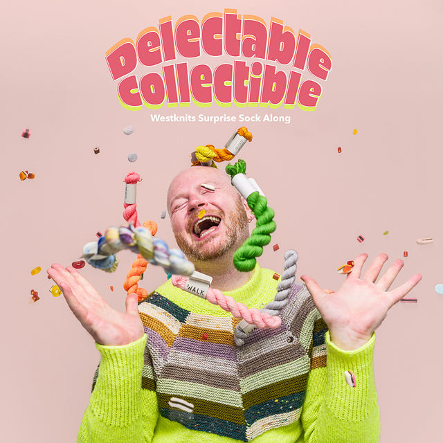 Stephen West's Delectable Collectible Sock-Along Kit #1