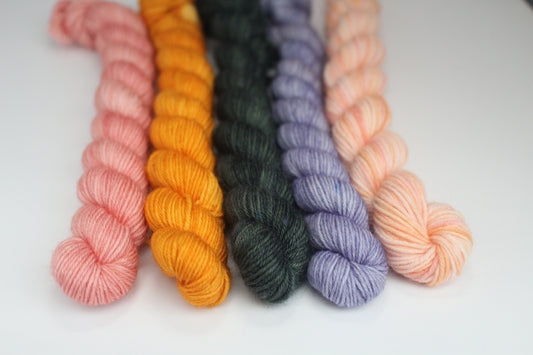 Stephen West's Delectable Collectible Sock-Along Kit #10