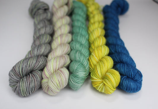 Stephen West's Delectable Collectible Sock-Along Kit #4