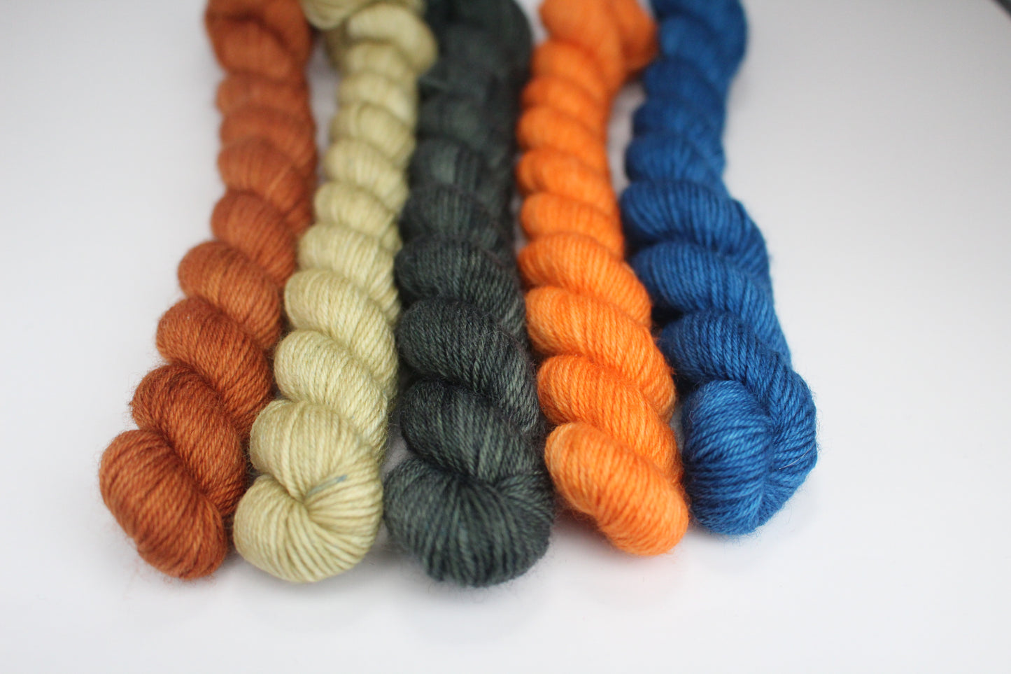 Stephen West's Delectable Collectible Sock-Along Kit #6